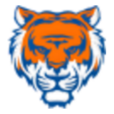 TIGER365 logo